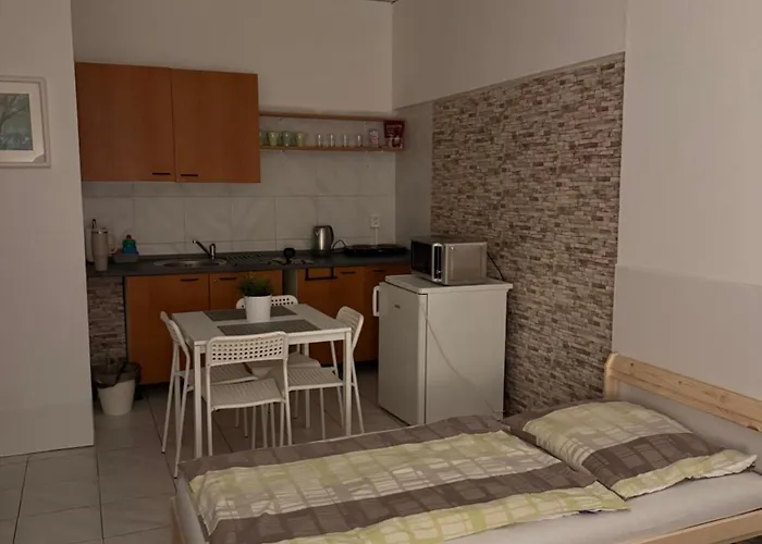 Pensionat Levne 3*